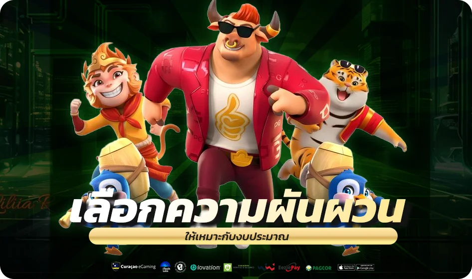เลือกความผันผวนให้เหมาะกับงบประมาณ